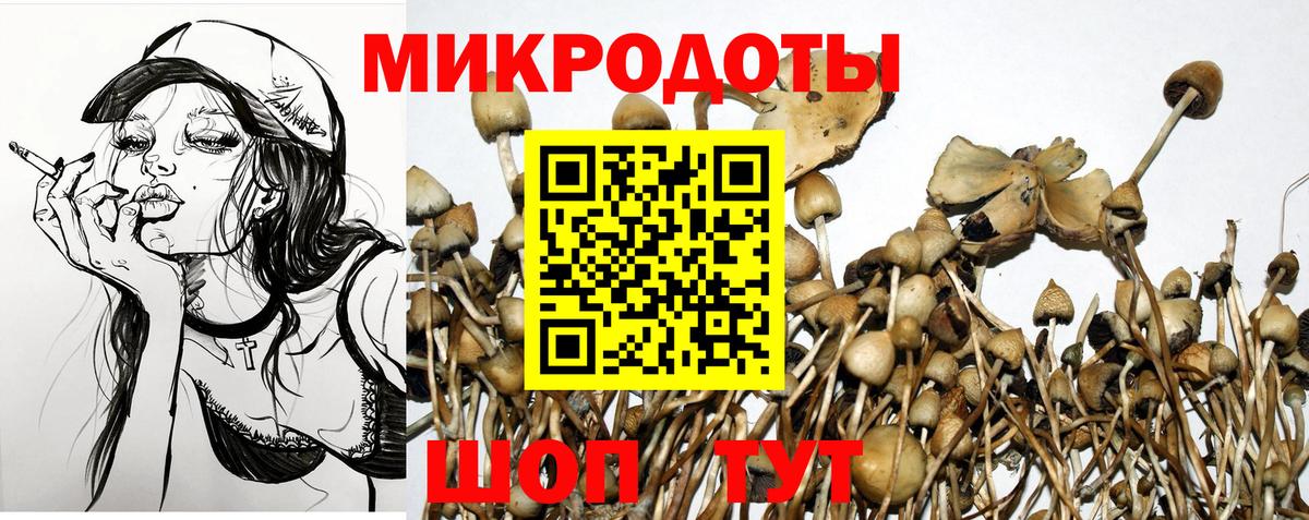 где продают наркотики  Галлюциногенные грибы мухоморы  Галлюциногенные грибы Psilocybine cubensis  Вход с VPN  Воткинск 